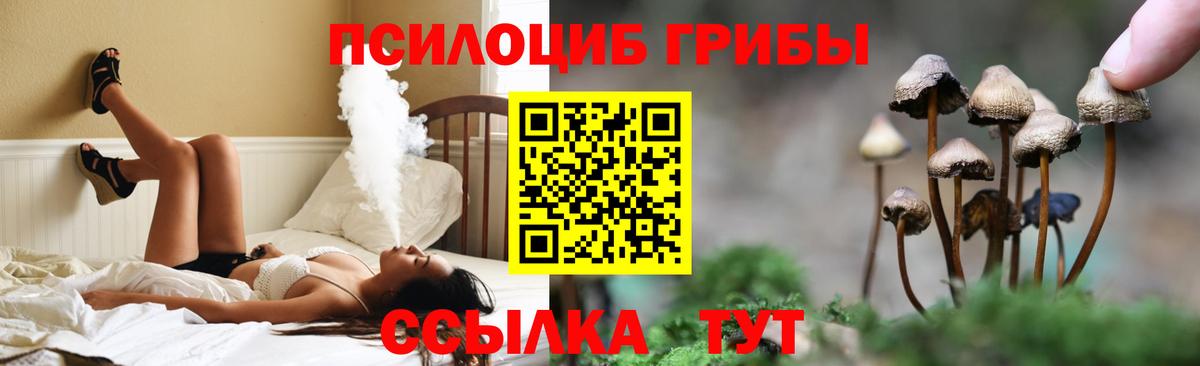 Псилоцибиновые грибы Magic Shrooms  Вход с VPN  Грозный 